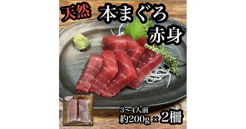 【ふるさと納税】貴重な天然本鮪 赤身 約200g×2柵　約3〜4人前●マグロの中心部天身を使用！【赤身 天身 惣菜 海鮮 お取り寄せ 御中元 お中元 お歳暮 父の日 母の日 贈り物 日本酒 焼酎】【神奈川県小田原市早川】