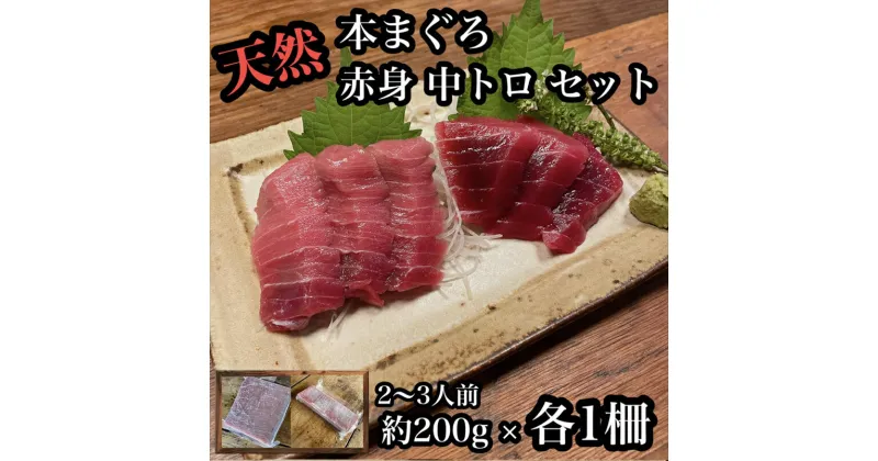 【ふるさと納税】貴重な天然本鮪 赤身 約200g 中トロ 約200g 各1柵 2〜3人前●赤身はマグロの中心部天身を使用！中とろの脂はくどくない上質な脂！【赤身 天身 惣菜 海鮮 お取り寄せ 御中元 お中元 お歳暮 父の日 母の日 贈り物 日本酒 焼酎】【神奈川県小田原市早川】