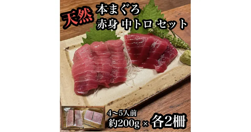 【ふるさと納税】貴重な天然本鮪 赤身 約200g 中トロ 約200g 各2柵ずつ 4〜5人前●赤身はマグロの中心部天身を使用！中とろの脂はくどくない上質な脂！【赤身 天身 惣菜 海鮮 お取り寄せ 御中元 お中元 お歳暮 父の日 母の日 贈り物 日本酒 焼酎】【神奈川県小田原市早川】