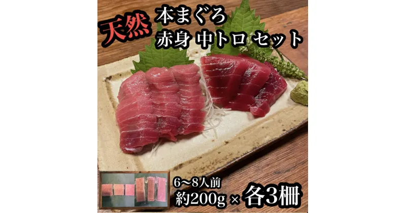 【ふるさと納税】貴重な天然本鮪 赤身 約200g 中トロ 約200g 各3柵ずつ 6〜8人前●赤身はマグロの中心部天身を使用！中とろの脂はくどくない上質な脂！【赤身 天身 惣菜 海鮮 お取り寄せ 御中元 お中元 お歳暮 父の日 母の日 贈り物 日本酒 焼酎】【神奈川県小田原市早川】