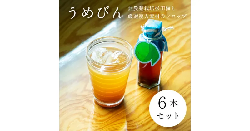 【ふるさと納税】【6本セット】濃厚梅エキスと漢方のシロップ「うめびん（杉田梅） by Kampo Kitchen」【 家庭用 自宅用 贈答品 贈答用 ギフト お取り寄せ お中元 お歳暮 贈り物 お祝い 神奈川県 小田原市 】