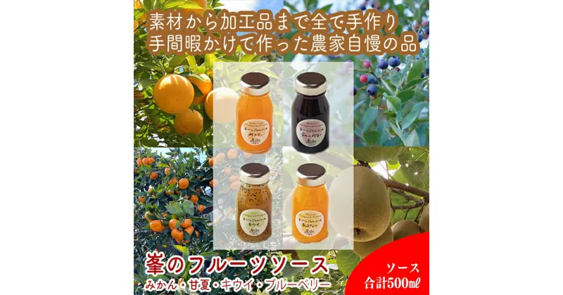 【ふるさと納税】手づくりジャムソース 4本セット 手作りみかん キウイ あまなつ ブルーベリー 125ml 詰め合わせ ギフト 【 家庭用 自宅用 贈答品 贈答用 ギフト お取り寄せ お中元 お歳暮 贈り物 お祝い 神奈川県 小田原市 】