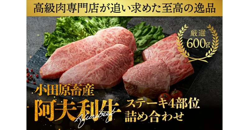 【ふるさと納税】神奈川県産和牛 阿夫利牛のステーキ4部位詰め合わせ 600g【 牛肉 和牛 神奈川県 小田原市 】