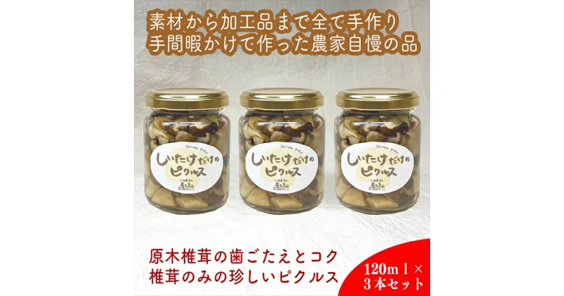 【ふるさと納税】しいたけだけのピクルス 3個セット【 家庭用 自宅用 贈答品 贈答用 ギフト お取り寄せ お中元 お歳暮 贈り物 お祝い 神奈川県 小田原市 】