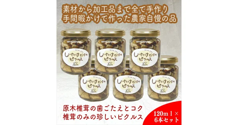 【ふるさと納税】しいたけだけのピクルス 6個セット【 家庭用 自宅用 贈答品 贈答用 ギフト お取り寄せ お中元 お歳暮 贈り物 お祝い 神奈川県 小田原市 】