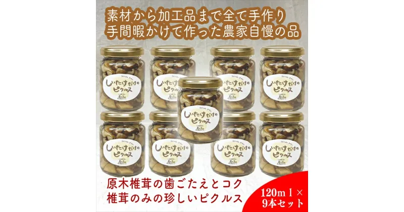 【ふるさと納税】しいたけだけのピクルス 9個セット【 家庭用 自宅用 贈答品 贈答用 ギフト お取り寄せ お中元 お歳暮 贈り物 お祝い 神奈川県 小田原市 】