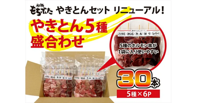 【ふるさと納税】和豚もちぶたやきとん5種盛り合わせ【 惣菜 おかず 家庭用 自宅用 贈答品 贈答用 ギフト お取り寄せ お中元 お歳暮 贈り物 焼トン 焼トン 串焼き 豚肉 ぶたにく ビール 神奈川県 小田原市 】