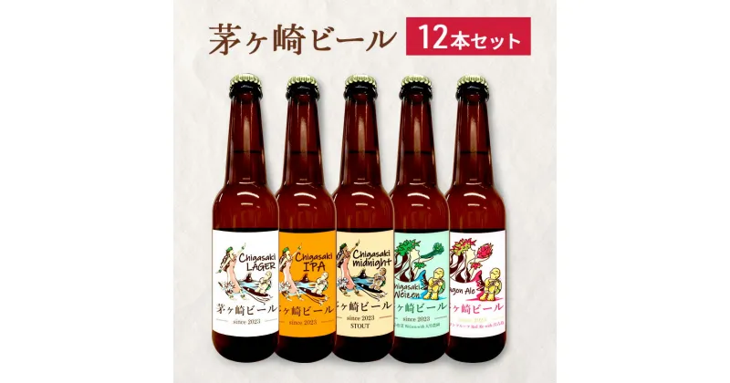 【ふるさと納税】茅ヶ崎ビール アソート 12本セット　【お酒　ビール　クラフトビール　瓶入り　段ボール入り】　 地ビール 瓶ビール アルコール飲料 家飲み 晩酌 バーベキュー BBQ