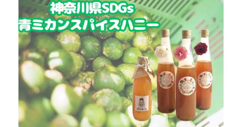 【ふるさと納税】神奈川県SDGs 青ミカンスパイスハニー　ワインと割ってお手軽爽やかなサングリア【逗子市・平塚市　共通返礼品】　 果汁飲料 野菜飲料 みかんジュース 飲料類 セット ジュース