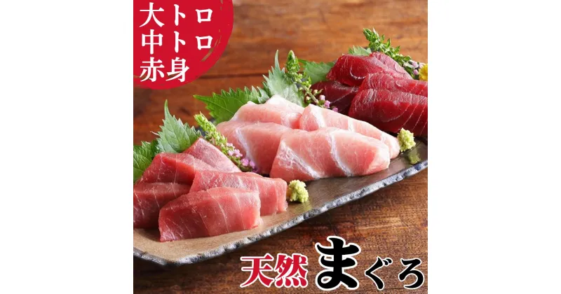 【ふるさと納税】B23-004 本物の味をお届け！厳選！天然三崎まぐろ大トロ・中トロ・赤身セット