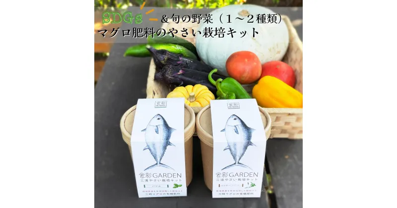 【ふるさと納税】B15-010食彩GARDEN三浦やさい栽培キット＆旬野菜