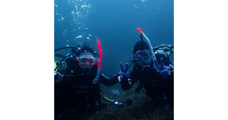 【ふるさと納税】B47-002三浦半島城ヶ島の海で体験ダイビング