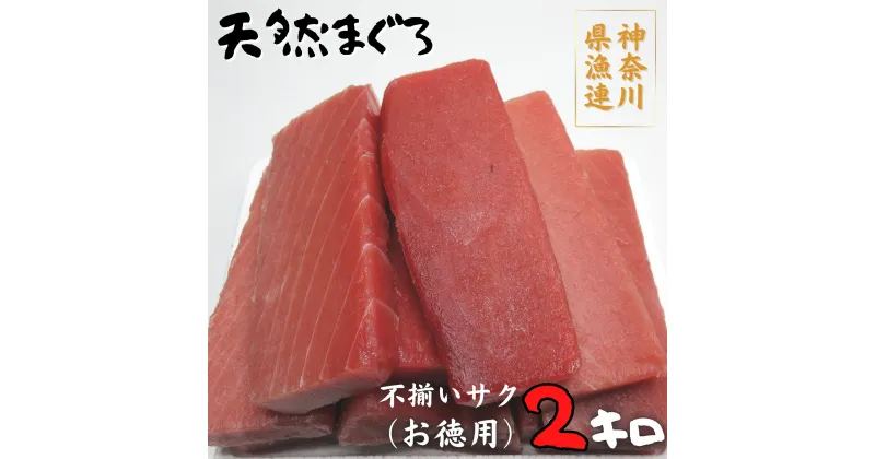 【ふるさと納税】B26-009神奈川県漁連　天然マグロ 2kg【お徳用】不揃いサク