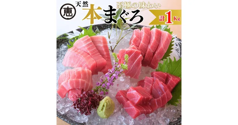 【ふるさと納税】B57-002 【至極の味わい】天然本まぐろ 1kg(大トロ200g,中トロ400g, 赤身400g)