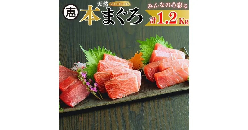 【ふるさと納税】B71-002 【みんなの心彩る】天然本まぐろ 1.2kg（大トロ400g，中トロ400g，赤身400g）