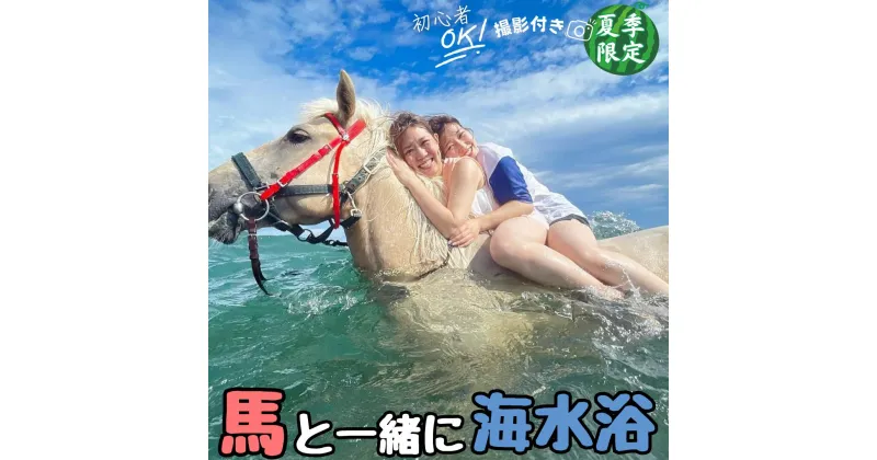 【ふるさと納税】B110-002 乗るだけの乗馬から、馬と一緒に楽しむ乗馬へ 三浦の海で馬と一緒に海水浴～海馬：うみうま90分～