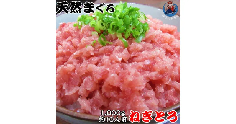 【ふるさと納税】B11-012 神奈川県漁連　天然マグロ　ネギトロ　1kg（500g×2P）　お徳用