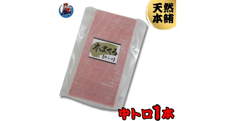 【ふるさと納税】B12-013 神奈川県漁連　天然本マグロ　中トロサク