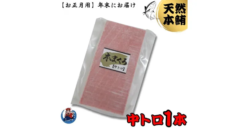 【ふるさと納税】B12-014 【年内発送】神奈川県漁連　天然本マグロ　中トロサク【お正月用】