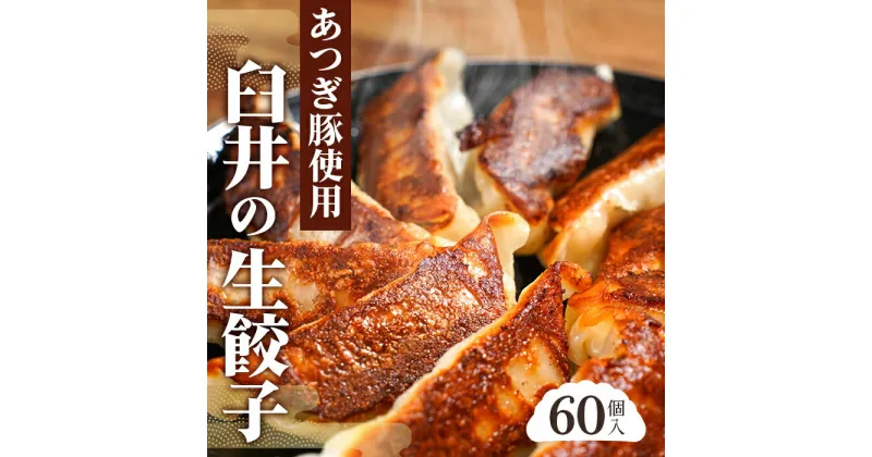 【ふるさと納税】あつぎ豚 臼井の生餃子セット ／ ぎょうざ ギョーザ 中華 送料無料 神奈川県