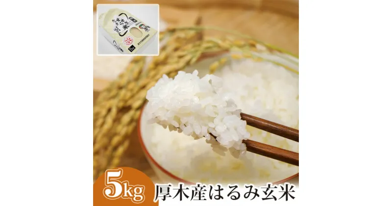 【ふるさと納税】厚木産はるみ玄米　5kg ／ お米 ブランド米 特A 健康 送料無料 神奈川県