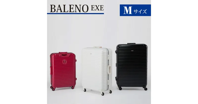 【ふるさと納税】BALENO EXE Mサイズマットブラック ／ キャリーバック スーツケース カバン 軽量 キャスターロック ロック装備 耐熱 耐寒 送料無料 神奈川県