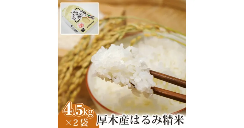 【ふるさと納税】厚木産はるみ精米　4.5kg×2袋 ／ お米 ブランド米 特A 送料無料 神奈川県