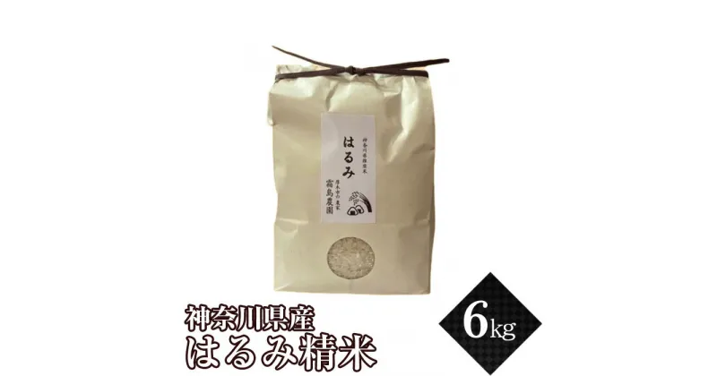 【ふるさと納税】神奈川県産はるみ精米6kg ／ お米 ブランド米 甘み 特A 送料無料 神奈川県