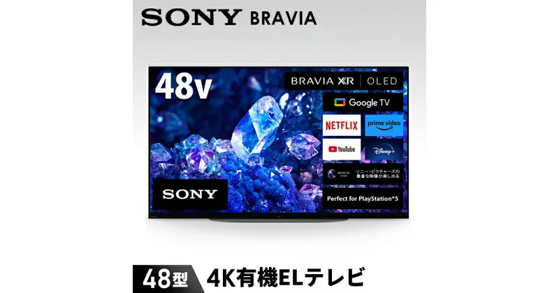 【ふるさと納税】【ソニー】BRAVIA 4K有機ELテレビ 48型 XRJ-48A90K（設置あり） ／ 高画質 高音質 独自技術 映像 臨場感 送料無料 神奈川県