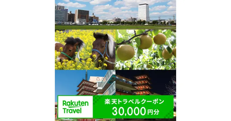 【ふるさと納税】 神奈川県海老名市の対象施設で使える楽天トラベルクーポン 寄附額120,000円【30,000円分 トラベルクーポン 楽天トラベル 食事 旅行 宿泊 観光 お土産 ご褒美 休暇 遊び 神奈川県 海老名市 】