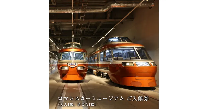 【ふるさと納税】 ロマンスカーミュージアム　ご入館券（大人1枚、子ども1枚）【 チケット 体験 鉄道ミュージアム 神奈川県 海老名市 】