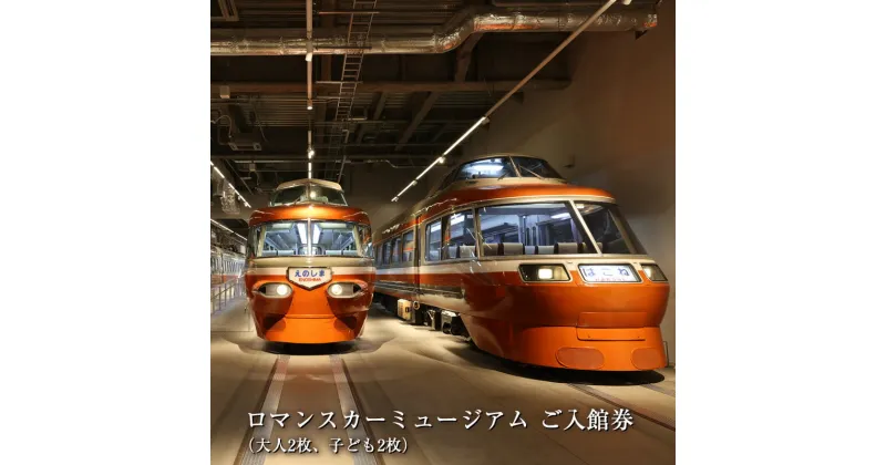 【ふるさと納税】ロマンスカーミュージアム　ご入館券（大人2枚、子ども2枚）【 チケット 体験 鉄道ミュージアム 神奈川県 海老名市 】