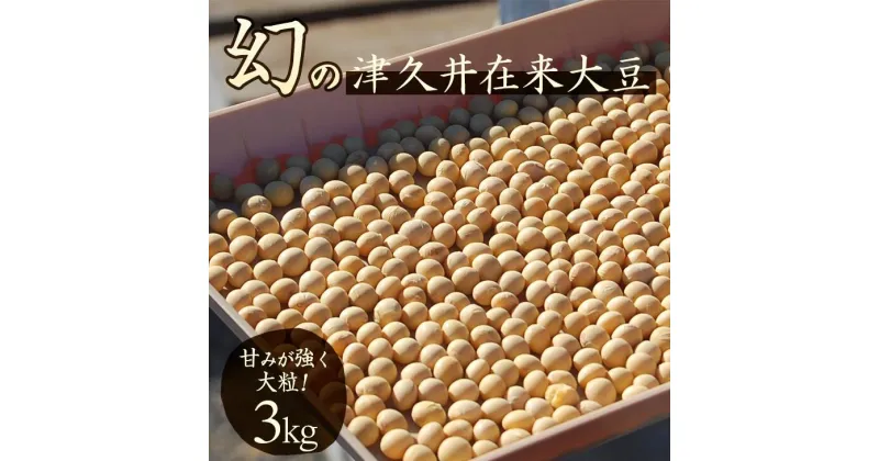 【ふるさと納税】座間市産　津久井在来大豆　3kg｜ ヘルシー プロテイン イソフラボン 大豆 国産 無添加 業務用