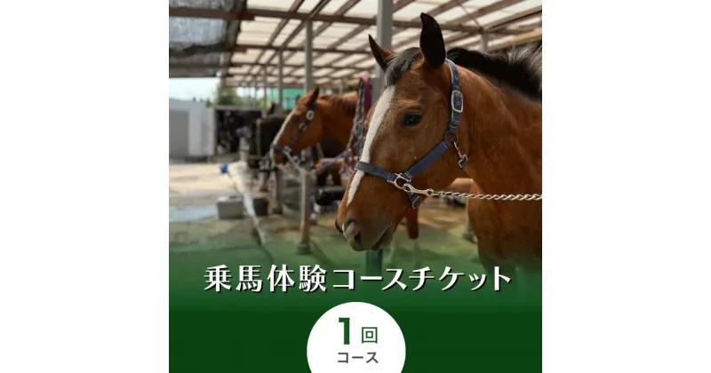 【ふるさと納税】乗馬体験コースチケット1回コース｜乗馬体験 レンタル付 乗馬 乗馬散歩 馬 自然 初心者 安心 スポーツ アウトドア