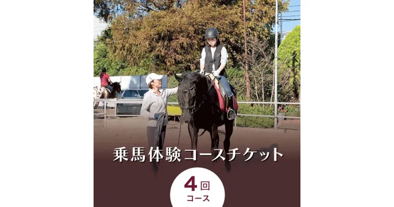 【ふるさと納税】乗馬体験コースチケット4回コース｜乗馬体験 レンタル付 乗馬 乗馬散歩 馬 自然 初心者 安心 スポーツ アウトドア