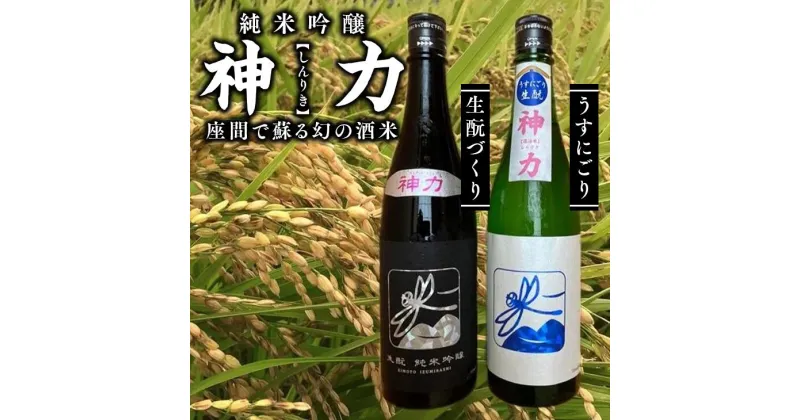 【ふるさと納税】神力　純米吟醸　生酛づくり・うすにごり｜日本酒 ギフト お歳暮 プレゼント 男性 女性 純米吟醸 内祝い お返し 退職祝い 結婚祝い 出産祝い 贈り物 お酒※離島への配送不可※着日指定不可