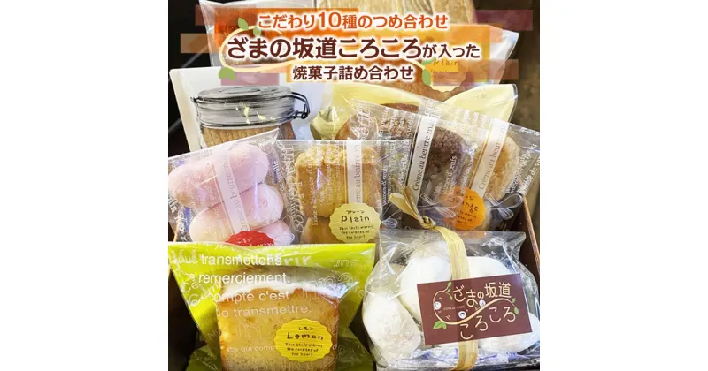 【ふるさと納税】ざまの坂道ころころが入った 焼菓子 詰め合わせ（10ケ入）｜クッキー 焼きドーナツ特産品 洋菓子 お菓子 スイーツ ※離島への配送不可