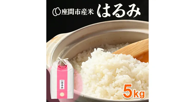 【ふるさと納税】座間市産米　はるみ　5kg　※2024年10月中旬頃～順次発送予定 ※離島への配送不可