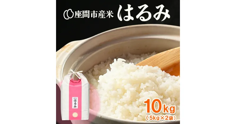 【ふるさと納税】座間市産米　はるみ　10kg(5kg×2袋)　※2024年10月中旬頃より順次発送予定 ※離島への配送不可