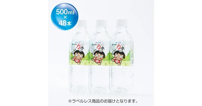 【ふるさと納税】おためしAセット 南足柄 金太郎の力水 ラベルレス 500ml×48本（24本入×2箱）【飲料 飲料水 天然水 ミネラル ウォーター 水 お水 ギフト プレゼント 贈り物 お返し おいしい まとめ買い 備蓄品 神奈川県 南足柄市 】