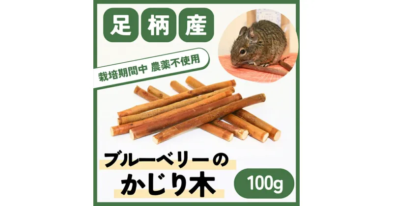 【ふるさと納税】【小動物ペットに】足柄産ブルーベリーのかじり木100g【 ペット 神奈川県 南足柄市 】