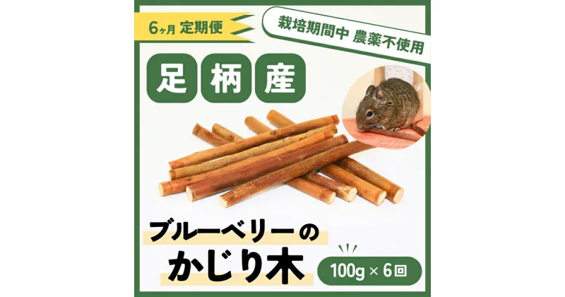 【ふるさと納税】【定期便6ヵ月】足柄産ブルーベリーのかじり木100g×6回＜毎月お届け＞【 ペット 神奈川県 南足柄市 】