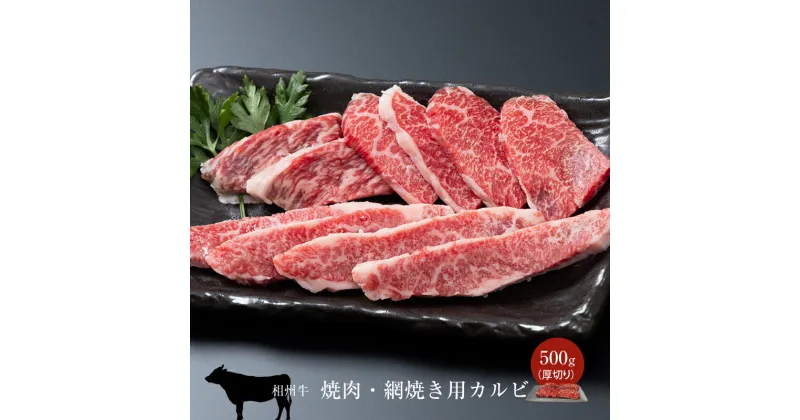 【ふるさと納税】相州牛 焼肉・網焼き用カルビ　500g（厚切り）【 牛肉 お肉 ブランド牛 神奈川県 南足柄市 】