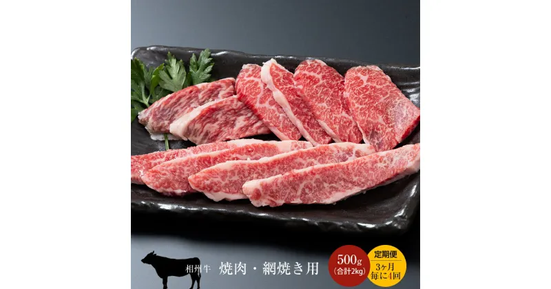 【ふるさと納税】【定期便：3ヶ月毎に4回】相州牛（焼肉・網焼き用）500g【合計2kg】【 牛肉 お肉 ブランド牛 神奈川県 南足柄市 】