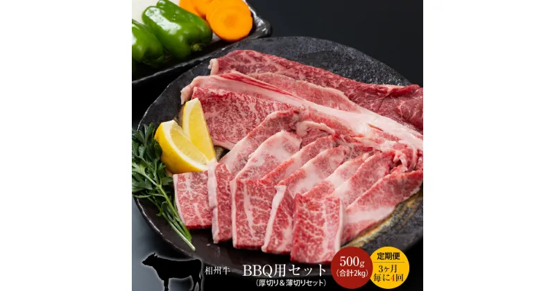 【ふるさと納税】【定期便：3ヶ月毎に4回】相州牛（BBQ用セット）500g【合計2kg】【 牛肉 お肉 ブランド牛 神奈川県 南足柄市 】