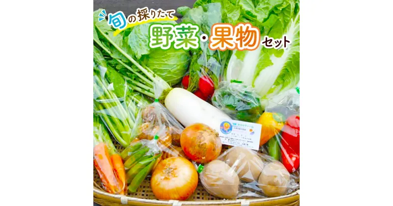 【ふるさと納税】野菜セット 旬の採りたて 野菜 フルーツ 詰め合わせ セット 野菜詰め合わせ フルーツ詰め合わせ フルーツセット 季節の野菜 季節の果物 くだもの 果物 果樹 神奈川　 野菜詰め合わせ フルーツ 果物 詰め合わせ