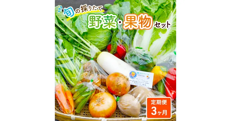 【ふるさと納税】野菜セット 定期便 3ヶ月 旬の採りたて 野菜 フルーツ 詰め合わせ セット 野菜定期便 野菜詰め合わせ フルーツ詰め合わせ フルーツセット 季節の野菜 季節の果物 くだもの 果物 果樹 神奈川 定期 お楽しみ 3回　定期便・ 綾瀬市