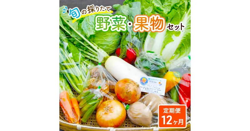 【ふるさと納税】野菜セット 定期便 12ヶ月 旬の採りたて 野菜 フルーツ 詰め合わせ セット 野菜定期便 野菜詰め合わせ フルーツ詰め合わせ フルーツセット 季節の野菜 季節の果物 くだもの 果物 果樹 神奈川 定期 お楽しみ 12回　定期便・ 旬の野菜