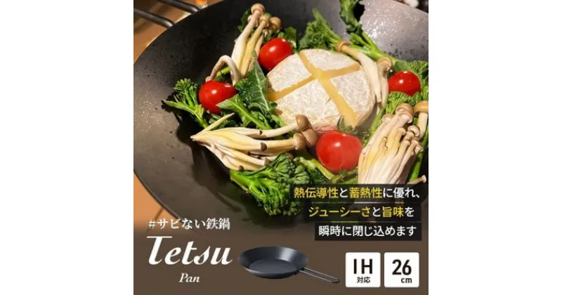 【ふるさと納税】フライパン Tetsu Pan 鉄 スキレット 調理器具 キッチン用品 鉄製 アウトドア バーベキュー キャンプ BBQ 魚 肉 料理 調理 雑貨 日用品　 綾瀬市