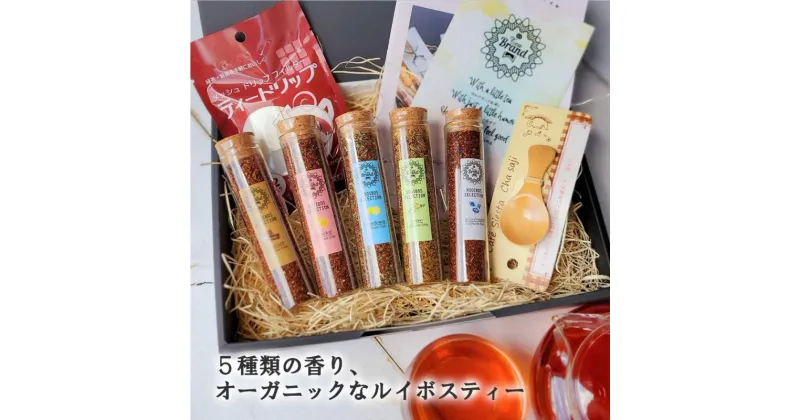 【ふるさと納税】ルイボスティー5種類　全部入ったルイボスボトルセレクション the beans thebeans ザビーンズ　飲料類・お茶